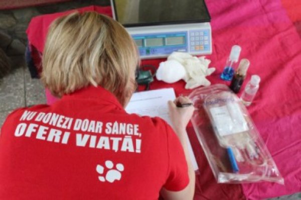 Prima bancă de sânge din România pentru animalele de companie